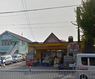 シグナス その他23