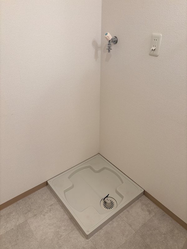 チャム その他2
