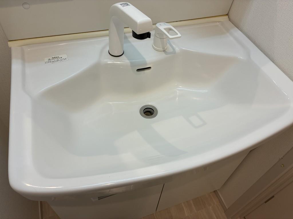 エクレシオ正木 洗面所