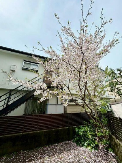 チェリーハウス桜花園 その他