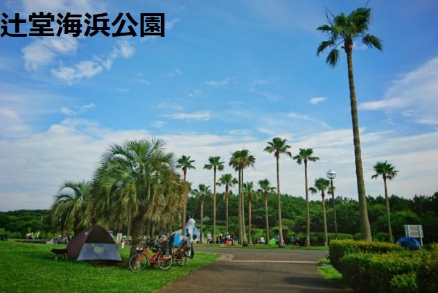 チェリーハウス桜花園 公園