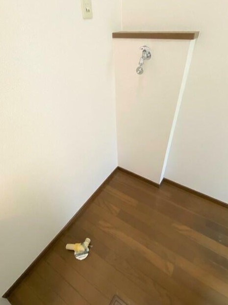 サウスコースト その他