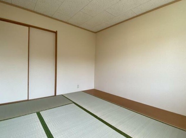 サウスコースト その他