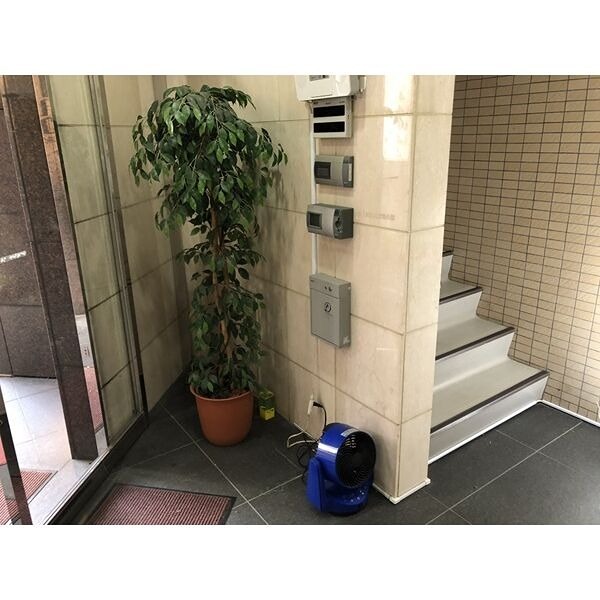 ROYAL SESSIONS その他