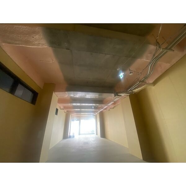Palazzo Pace（パラッツオパーチェ） その他