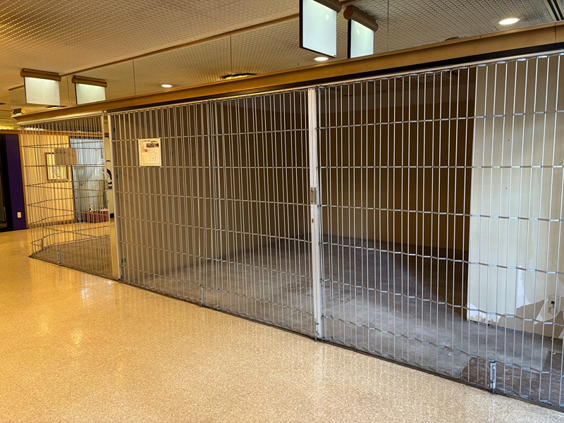 チカシン池下 その他
