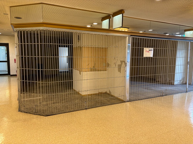 チカシン池下 その他