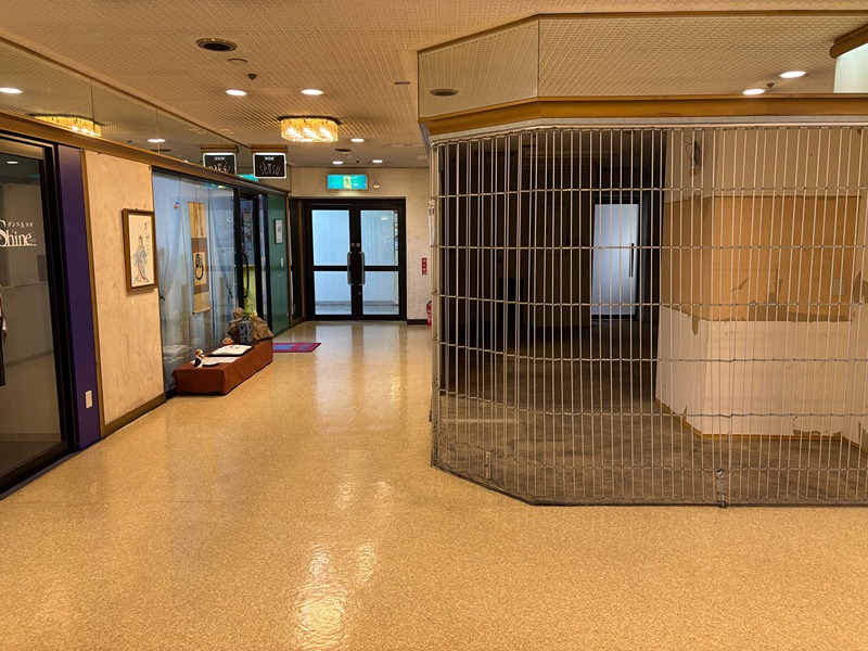 チカシン池下 その他