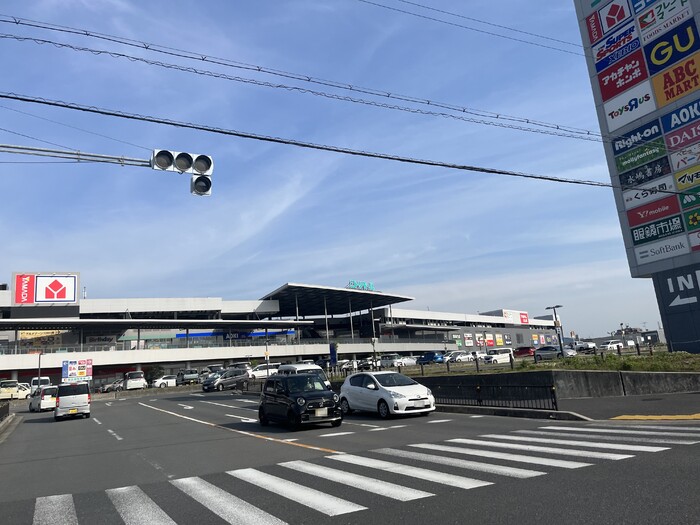 Avenir その他