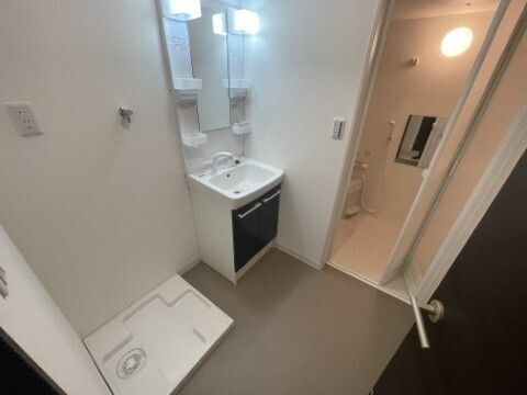プレジール枚方 洗面所