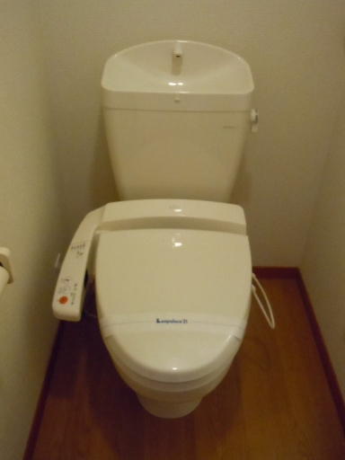 レオパレスコスモハウス その他