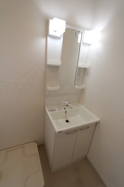 アムール招提 洗面所