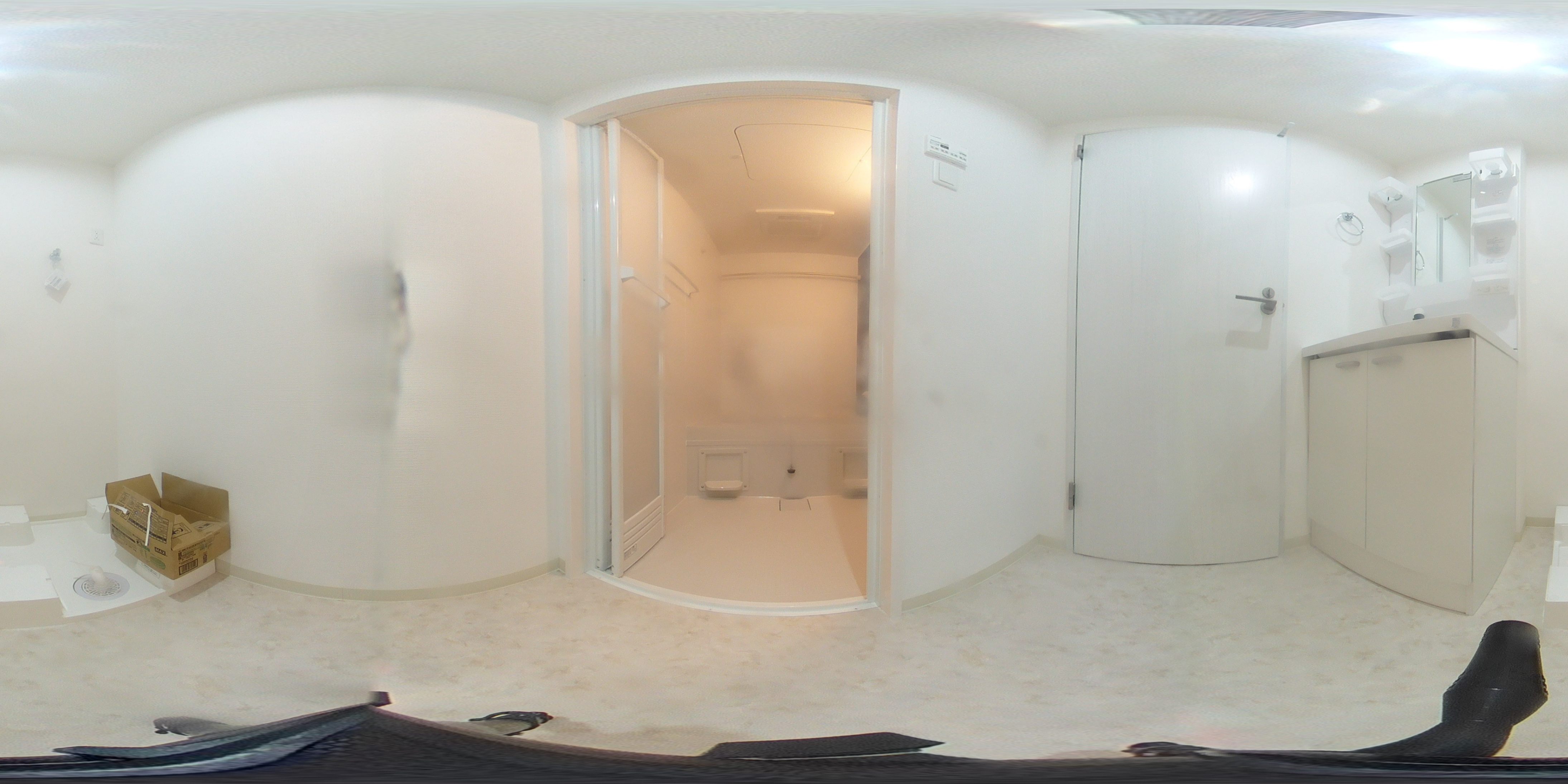 D porta annex 洗面所