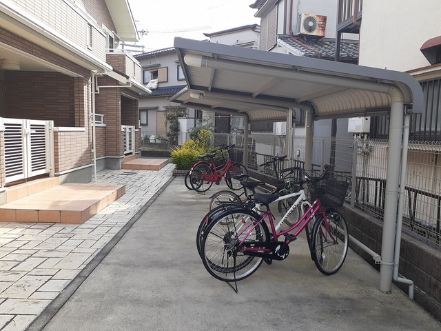 ひまわり その他