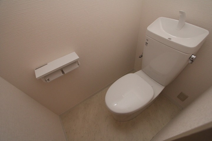 林ハイツ4号　戸建 トイレ