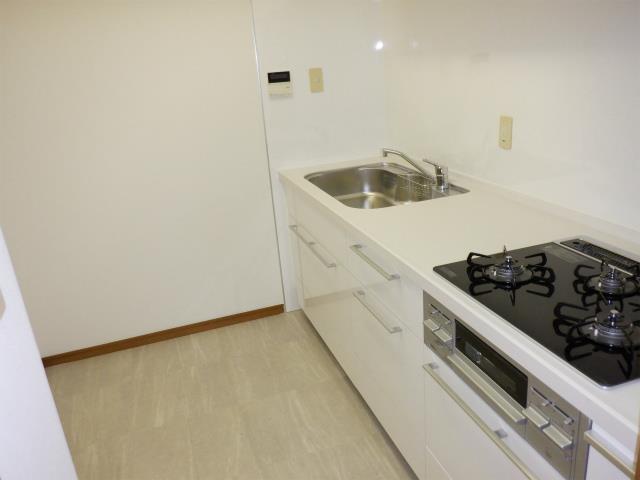 ダイアパレスプロミネントコート川崎 キッチン