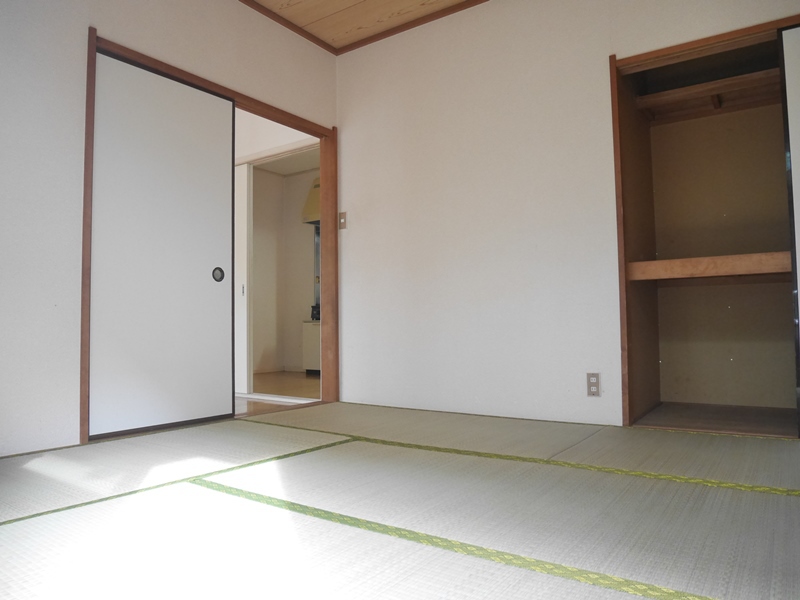 グリーンティファニー その他3