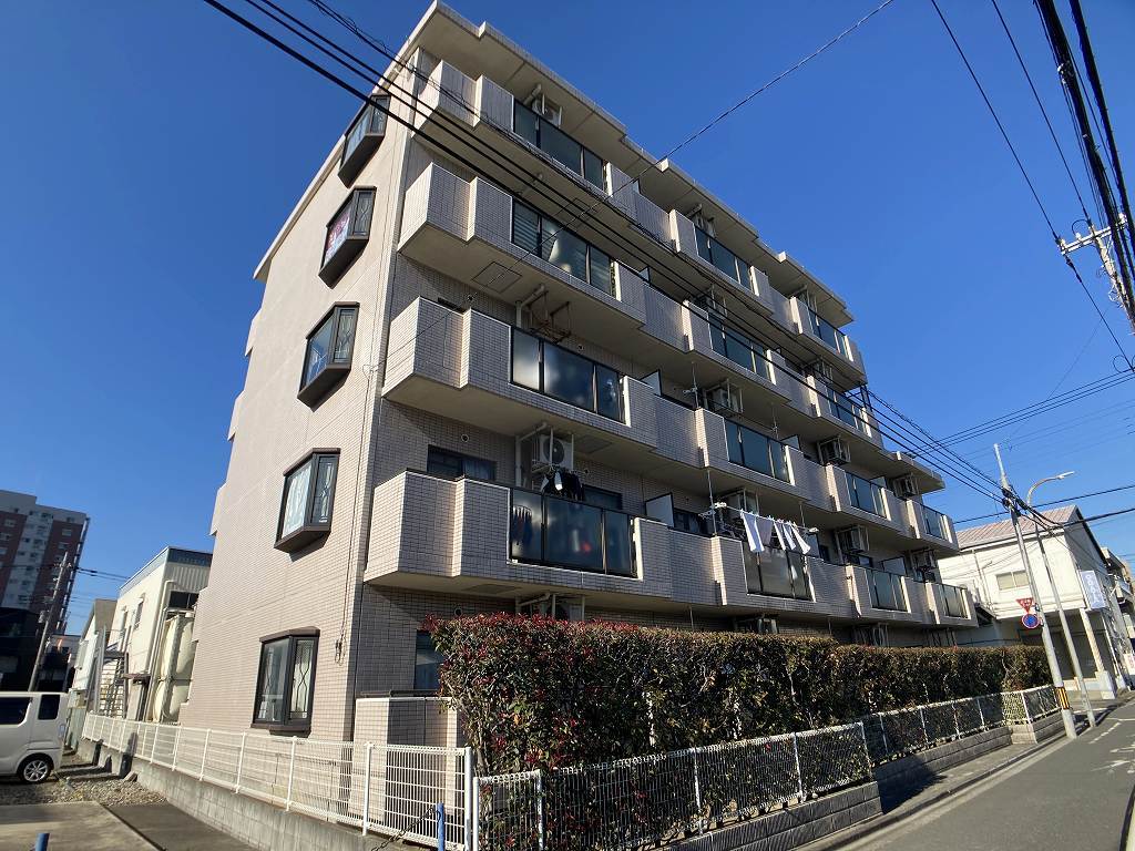 メルロＥ その他1