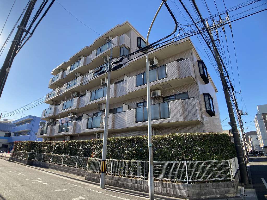メルロＥ その他2