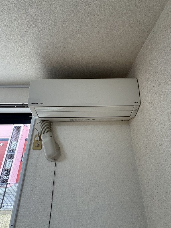 サンジェルマン その他