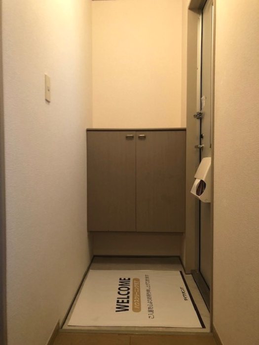 グランシャリオＤ棟 玄関