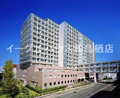 レガロパドレ163 その他