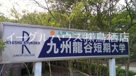 シャロー その他
