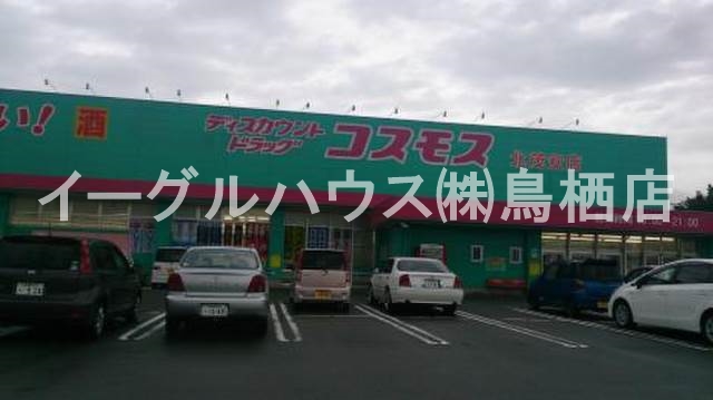 セジュールJin その他