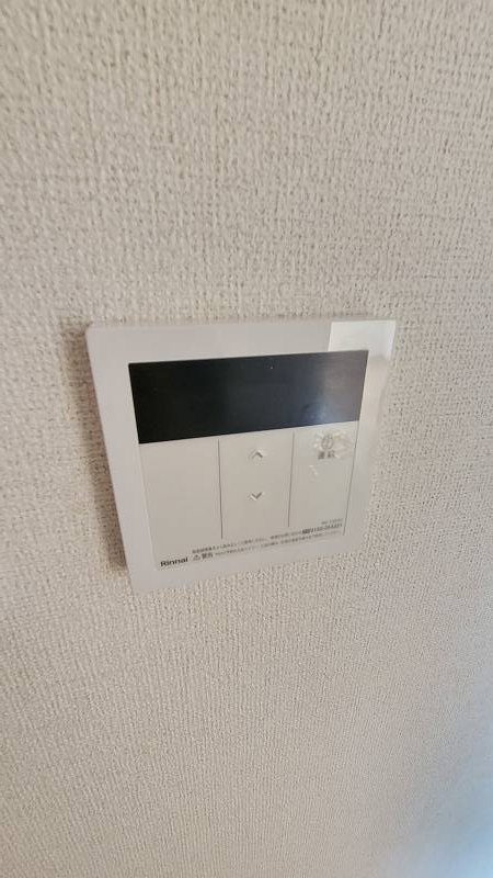 グレース後藤 その他