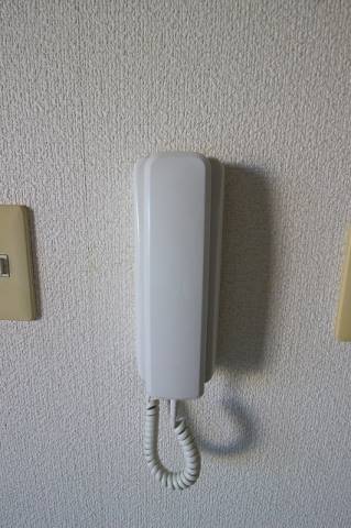 キャピタル大刀洗 セキュリティ