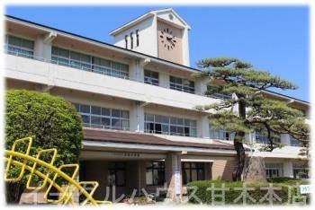 アネックスM その他