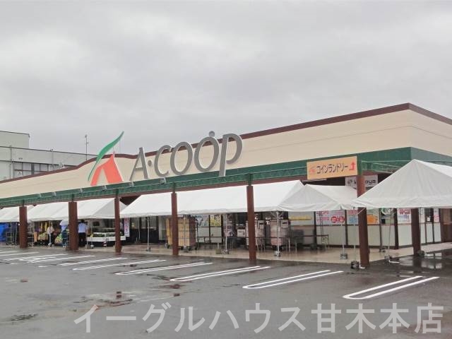 アネックスM その他