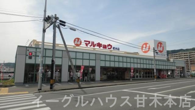 アネックスM その他