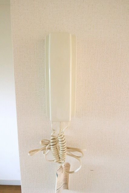 エアステ大刀洗 セキュリティ