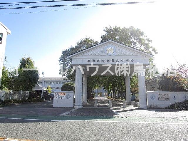 ヴェルドミール・大山 その他