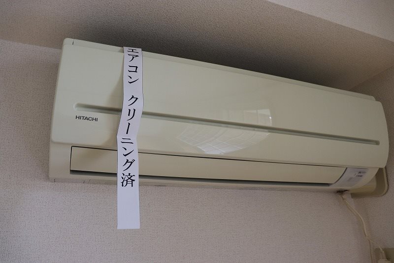 フォーエバーサニー その他