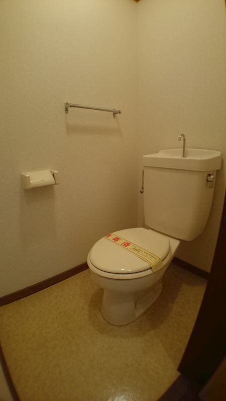 グリーンハイツ堤A トイレ