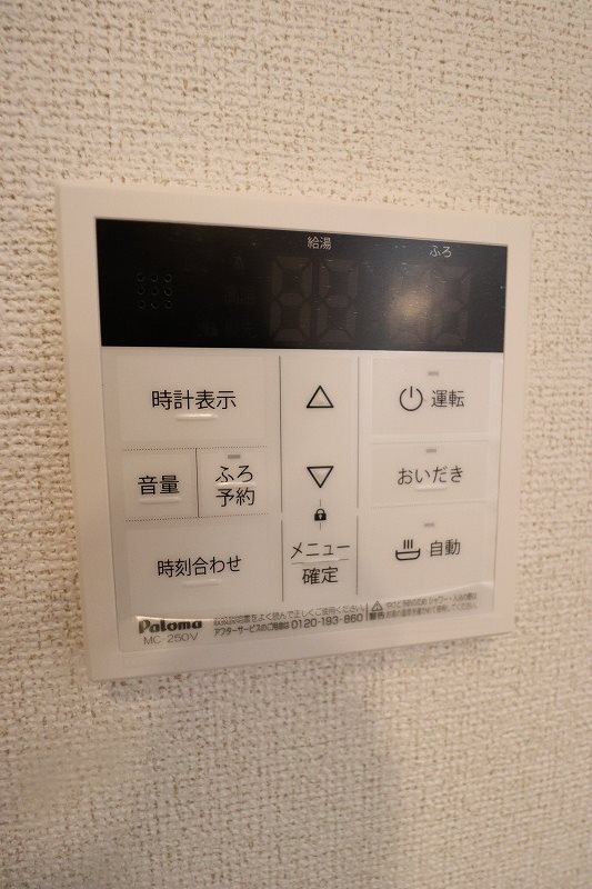 ビクトリア　ジャスティス その他