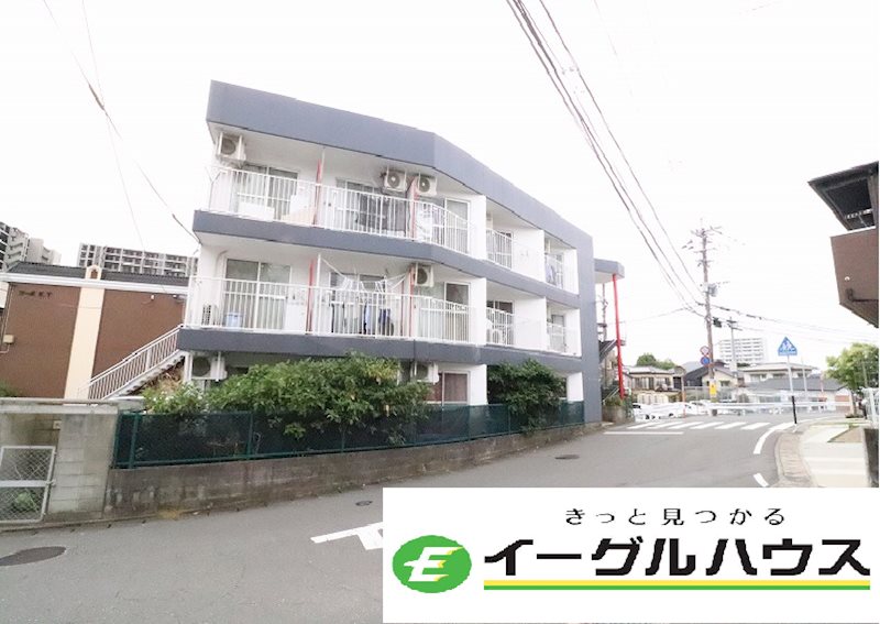 アイビスS1 外観