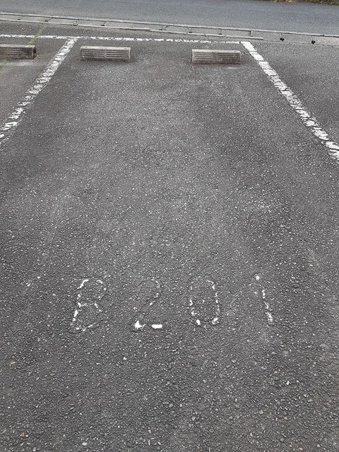 サファイアンエレガンスＢ 駐車場