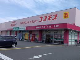 コーポラス国分 ドラッグストア