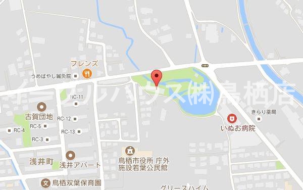 beauterraceステラ その他