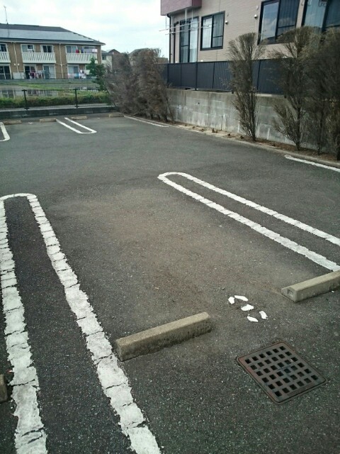 エレガンス壱番館 駐車場