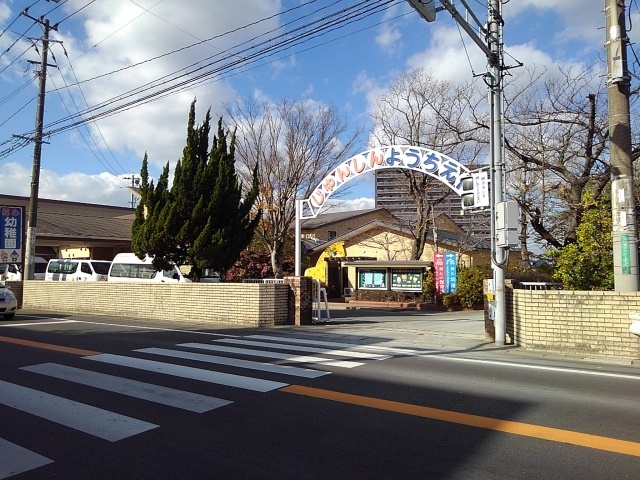 エスペラント山川 その他