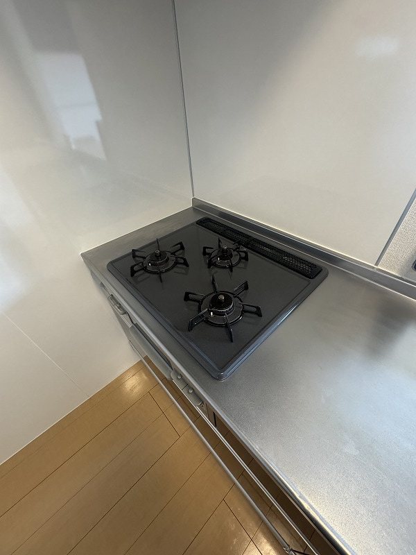 アンヌプリ その他
