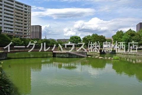 カサディモカ その他