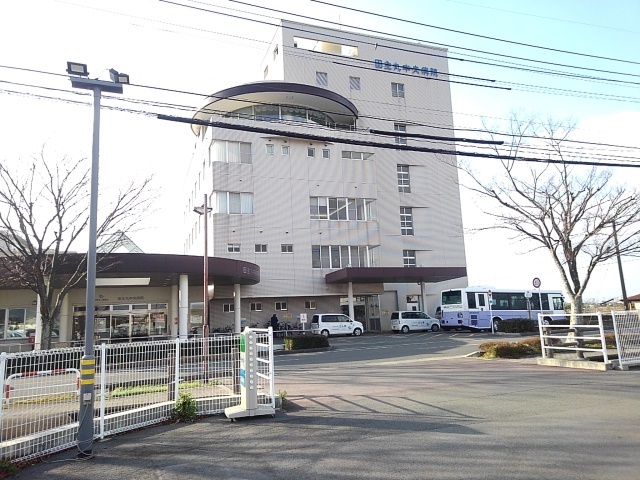 アルコバレーノ　ルーチェ その他