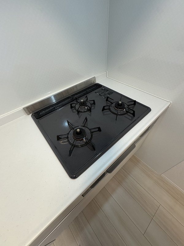 アピリシティⅡ その他