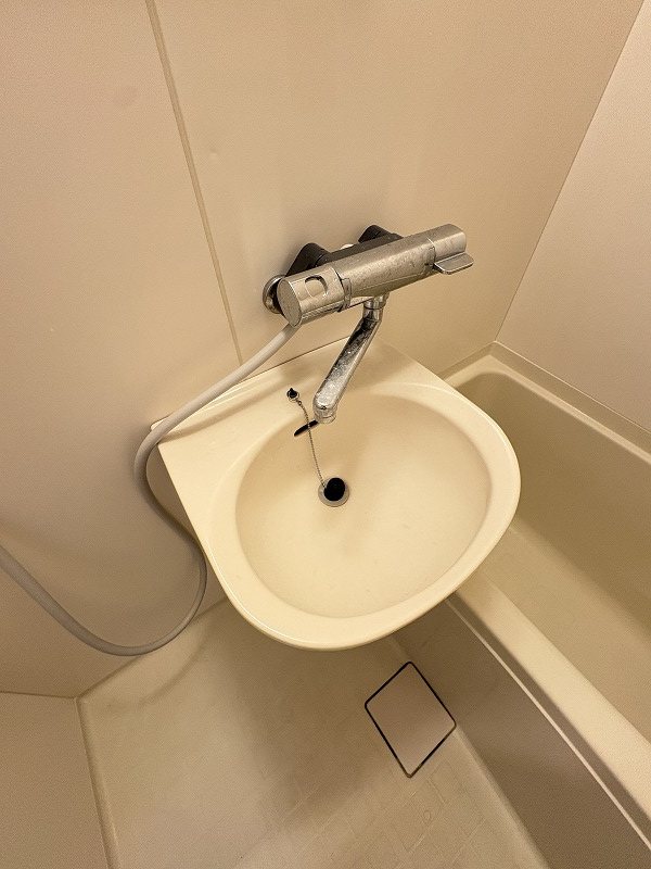 ホーキーポーキー 洗面所