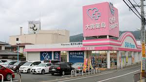 ソルベルデ五条 ドラッグストア